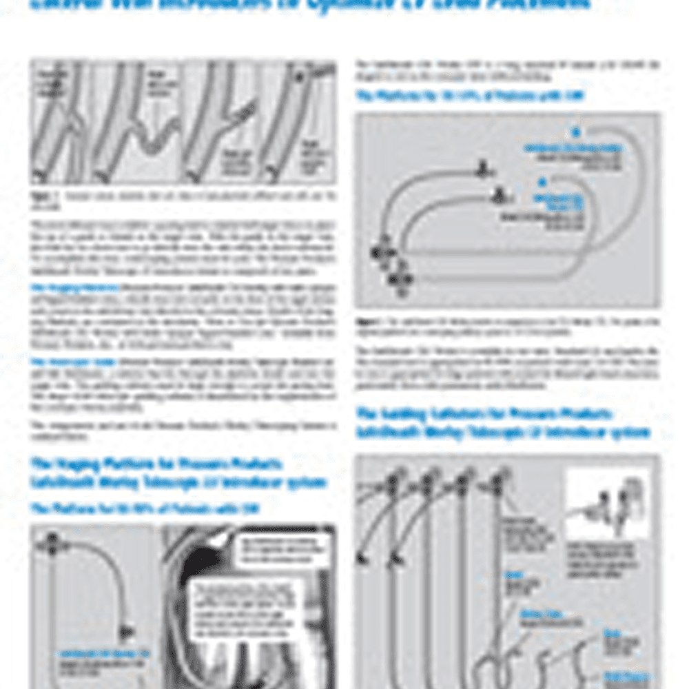 Diagram of catheter wall interactions and placements.
